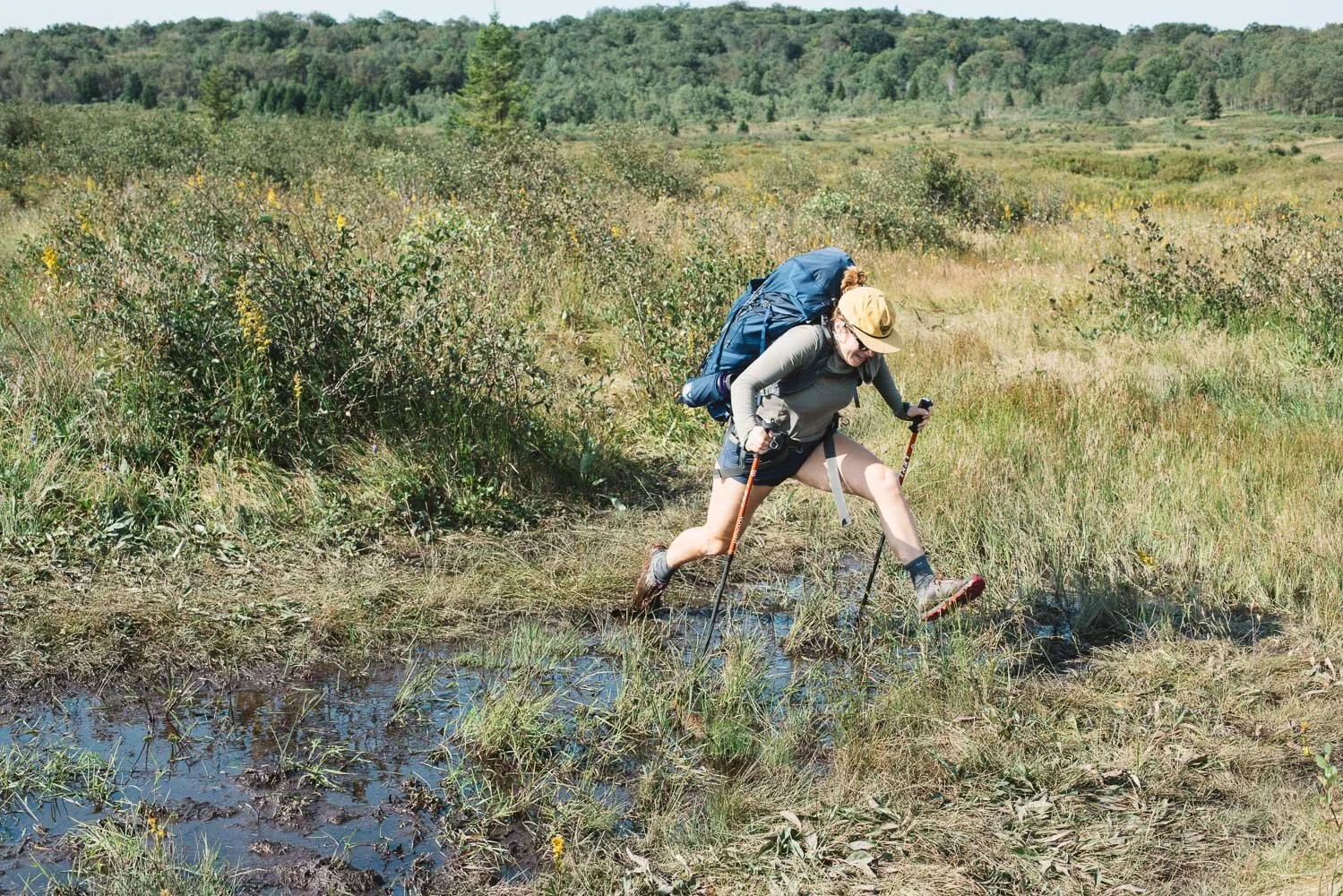 Dolly sods trails hot sale